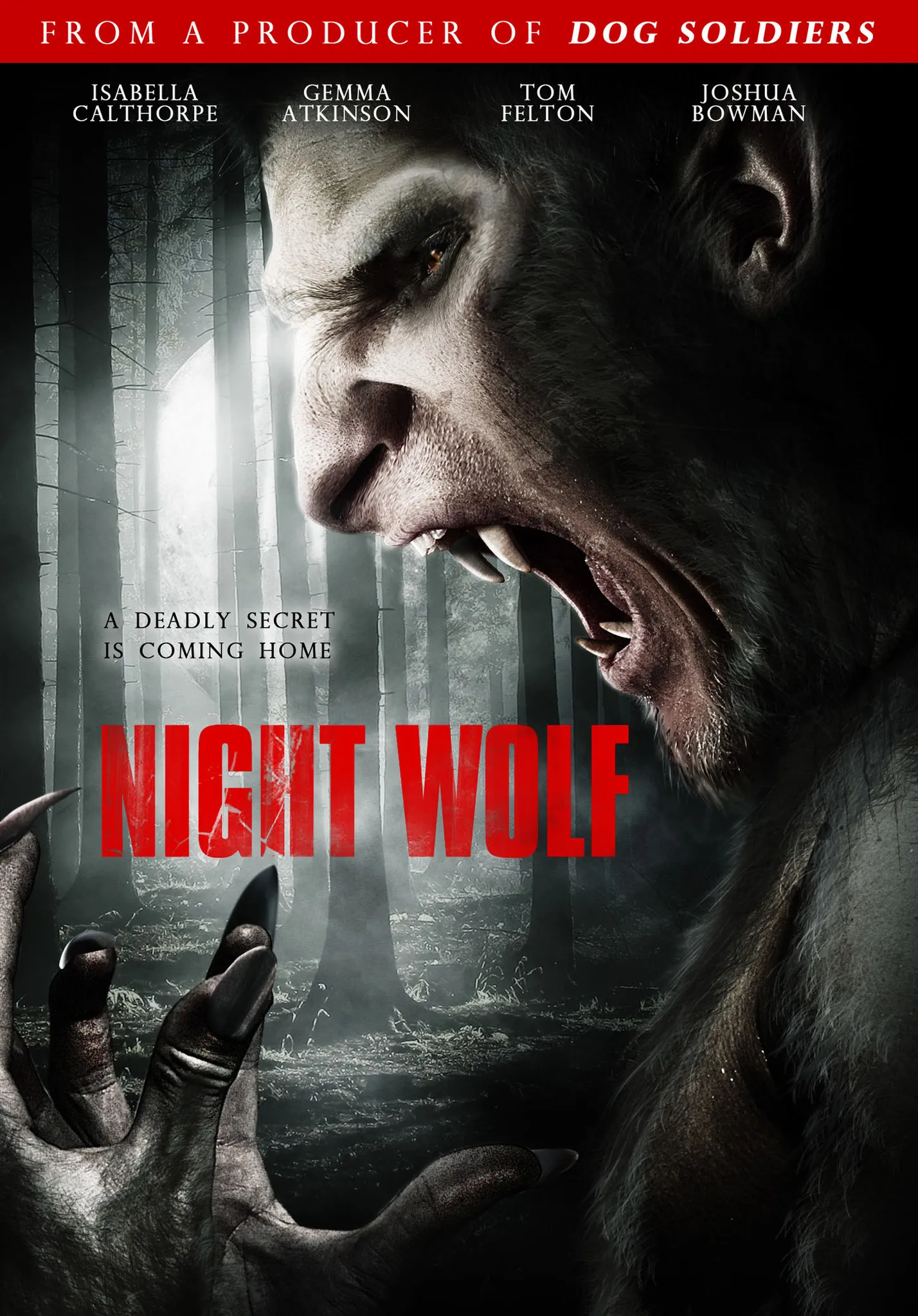  فیلم Night Wolf 2010