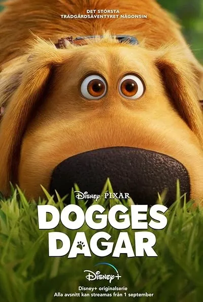  انیمیشن Dug Days