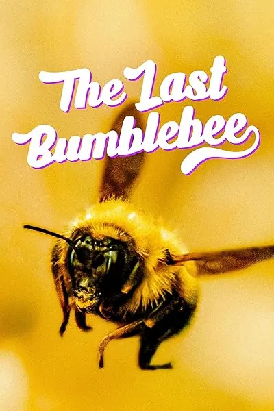  مستند The Last Bumblebee 2024
