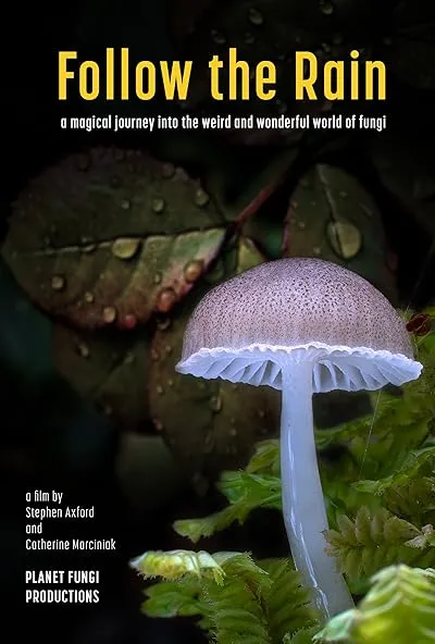  مستند Follow the Rain 2024