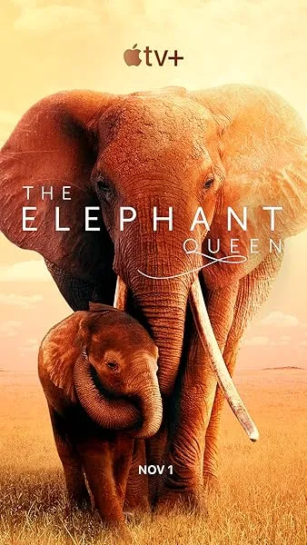  فیلم The Elephant Queen 2018