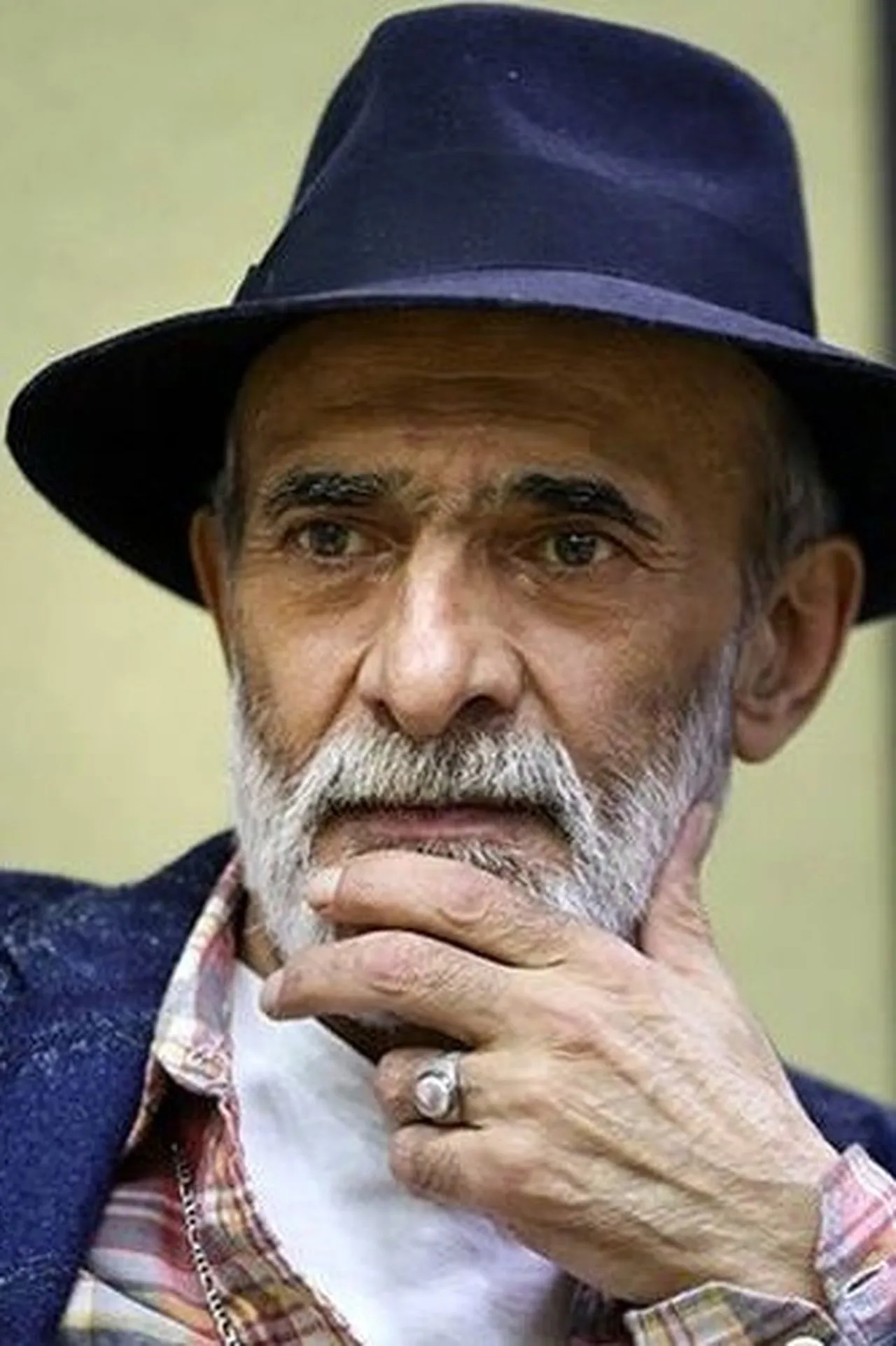 سید ضیاءالدین دری