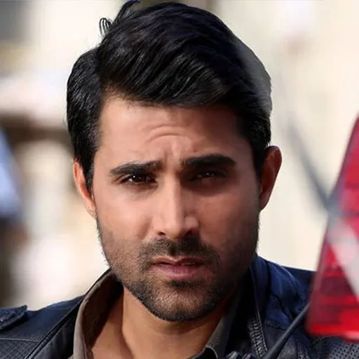 سیاوش گرجستانی